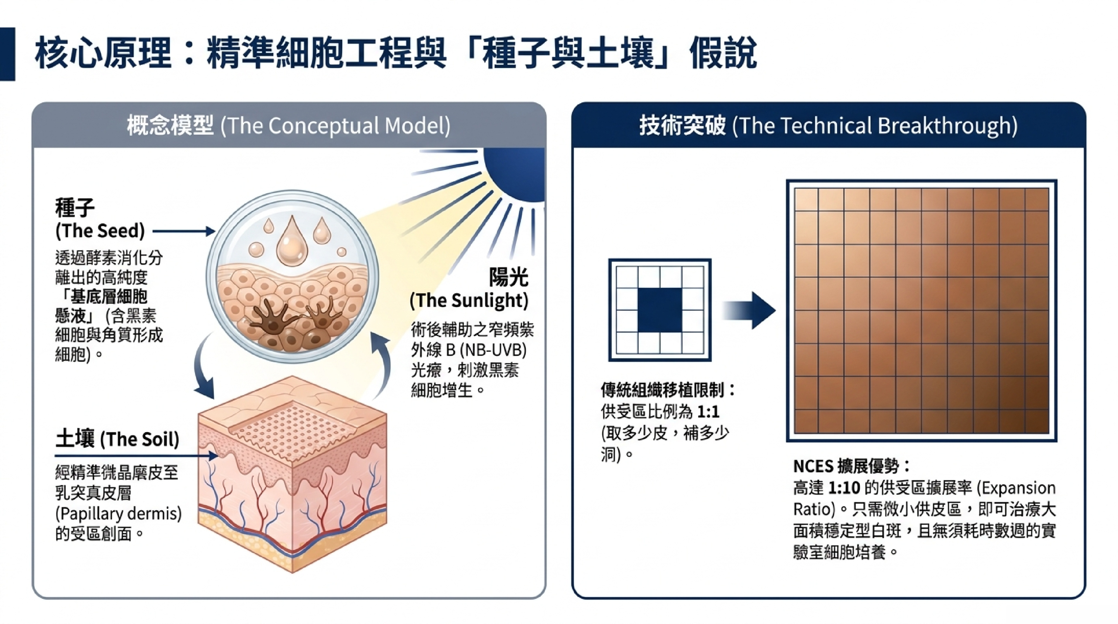 NCES 核心原理：種子與土壤假說 — 概念模型與技術突破